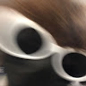 Meet your Posher, Max